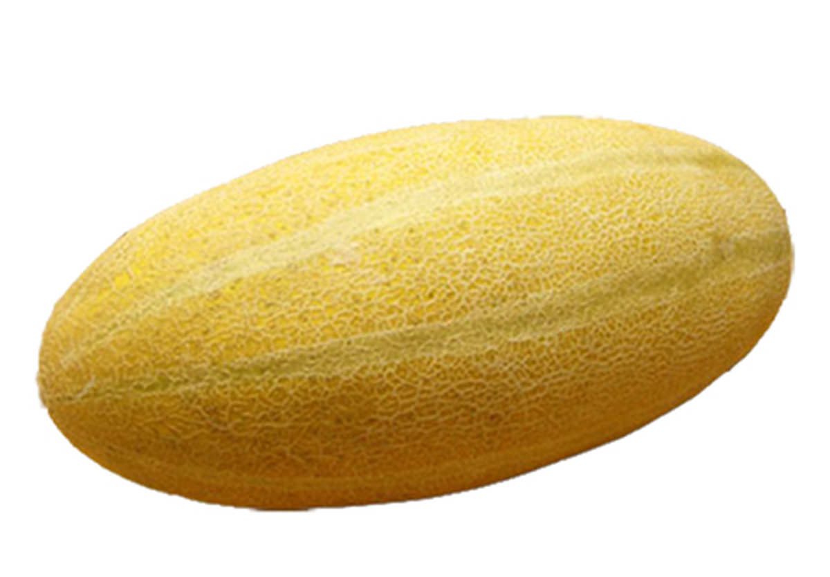 خربزه مشهدی